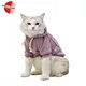 pet clothes cats